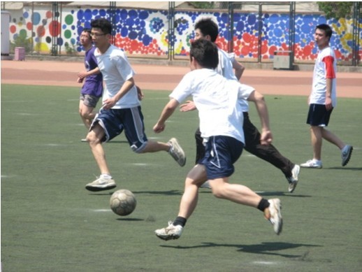 分享训练和 分享训练和